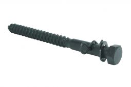 Stainless Steel Painted Lag Bolt